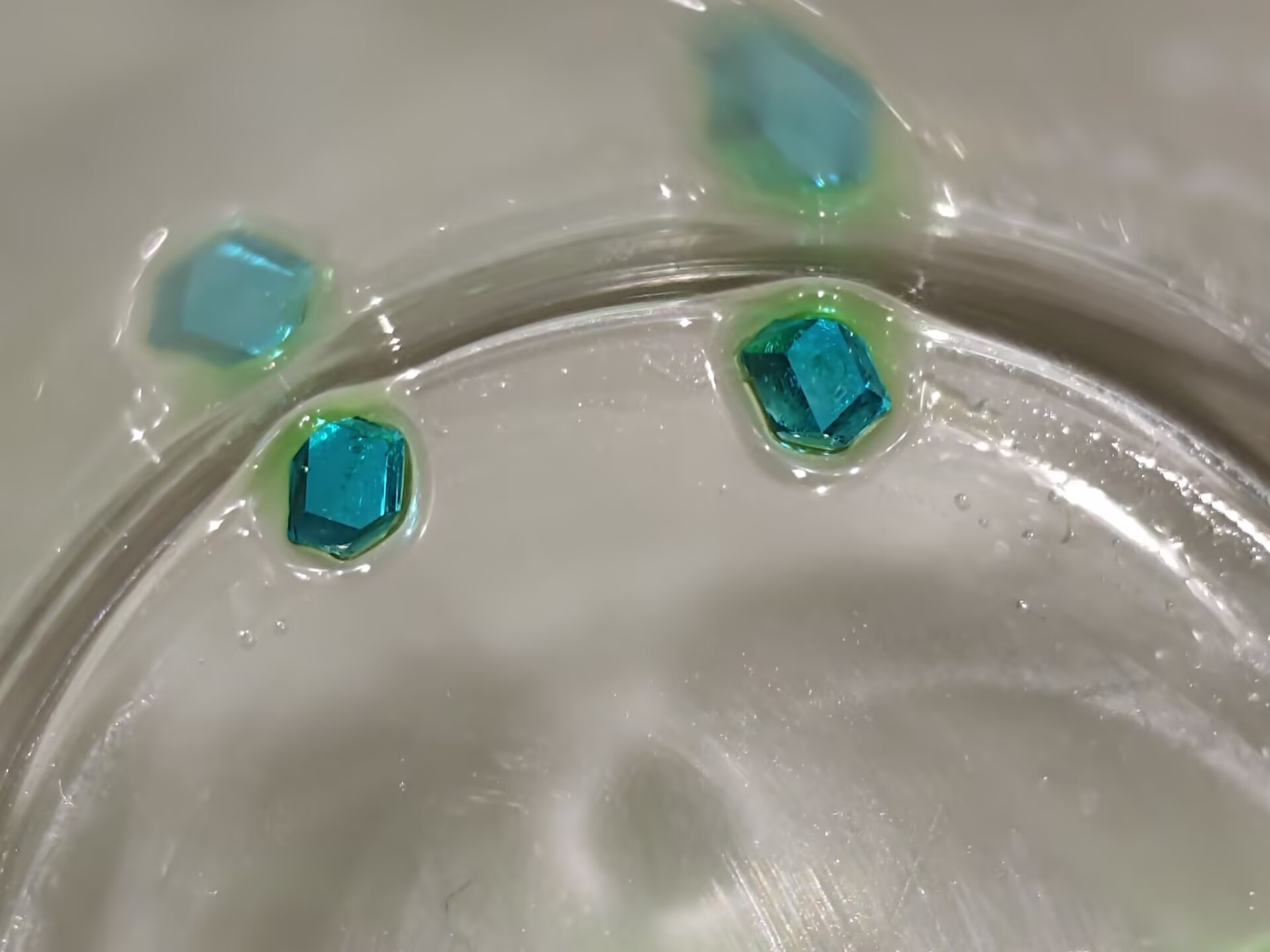 二水四氯合铜酸铵